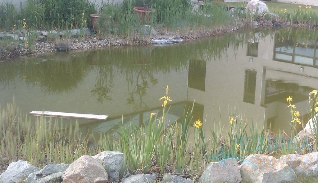 zahradní rybníček